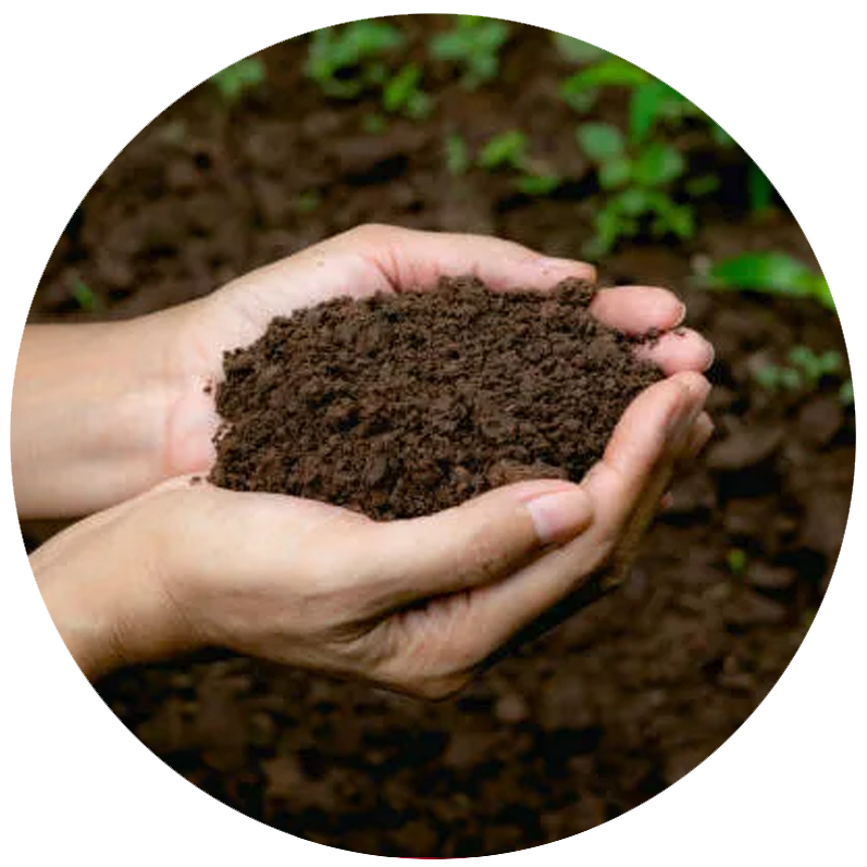 Organic fertilizers