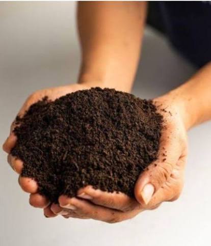 Vermicompost Product 2